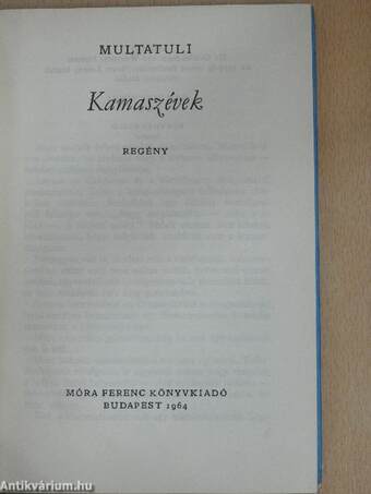 Kamaszévek