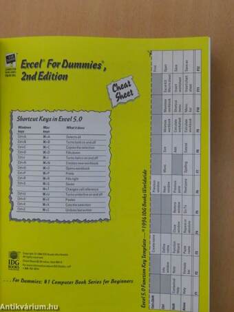 Excel for Dummies