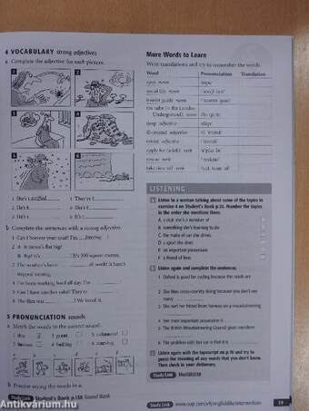 New English File - Intermediate - Workbook - CD-vel