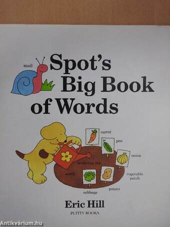 Spot's Big Book of Words