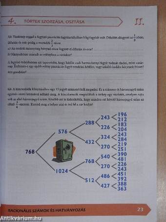 Matematika 7. - Munkafüzet