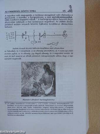 Titok tan avagy kódtörő ABC