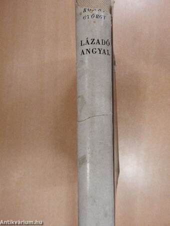 Lázadó angyal