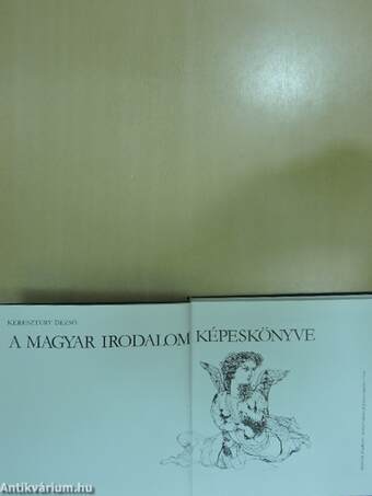 A magyar irodalom képeskönyve