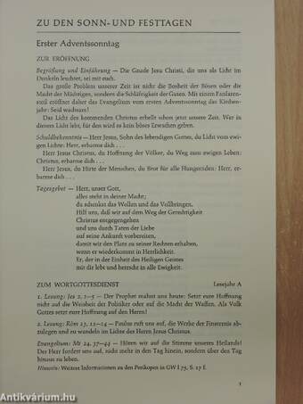 Zur Liturgie der Sonn- und Festtage