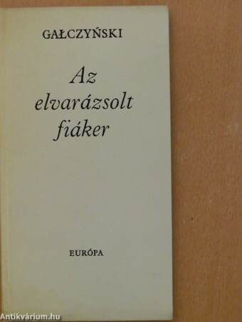 Az elvarázsolt fiáker