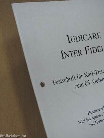 Iudicare inter fideles