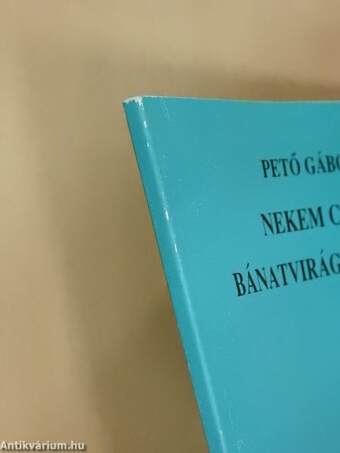 Nekem csak bánatvirág nyílott