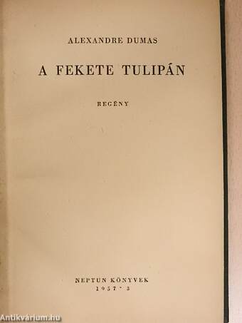 A fekete tulipán