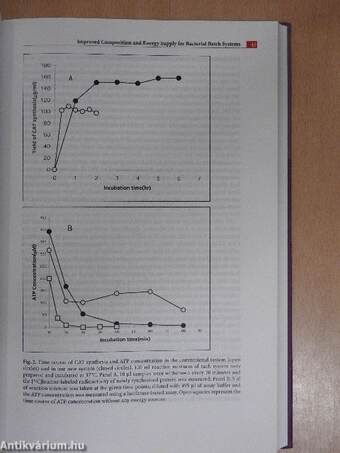 Cell-Free Translation Systems