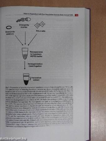 Cell-Free Translation Systems