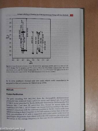 Cell-Free Protein Expression