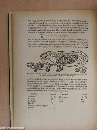 Szórakoztató mechanika