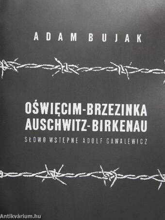 Oswiecim-Brzezinka