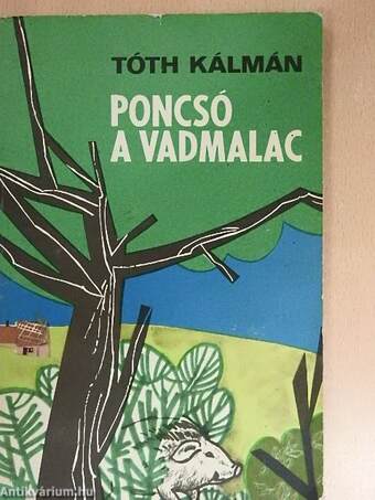 Poncsó a vadmalac