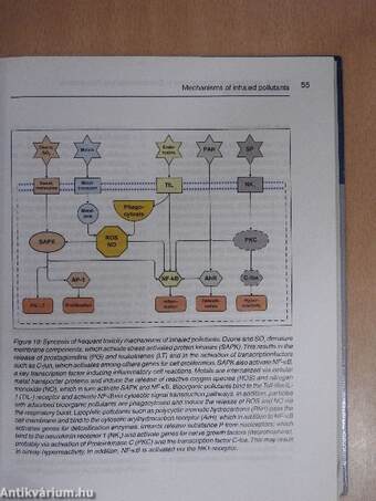 Environmental and Occupational Health Disorders