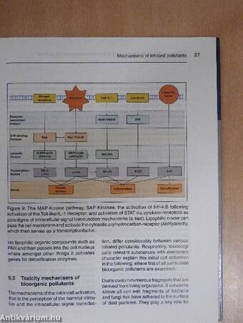 Environmental and Occupational Health Disorders