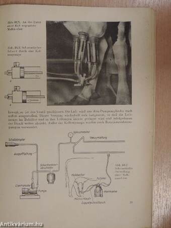 Physik I.