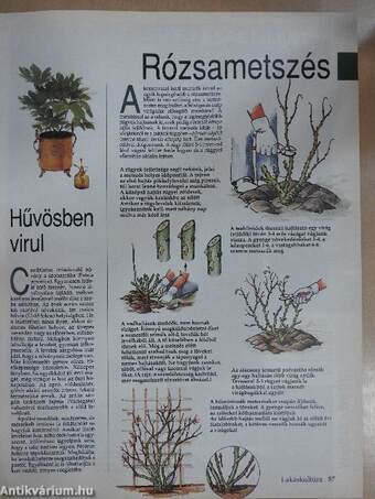 Lakáskultúra 1992. január-december/1993. (nem teljes évfolyam)