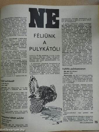 Magyar Konyha 1978-1980. (nem teljes évfolyam) 