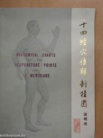 Anatomical charts of the acupuncture points and 14 meridians