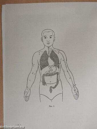 Anatomical charts of the acupuncture points and 14 meridians