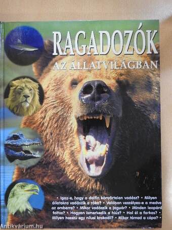 Ragadozók az állatvilágban