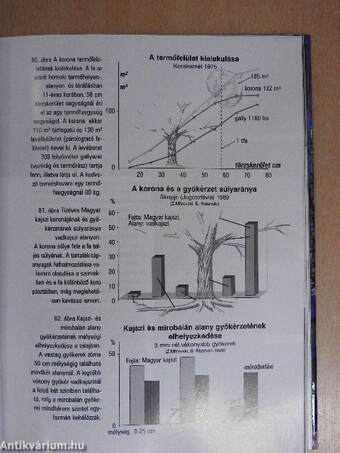 Kajszi termesztés képekben