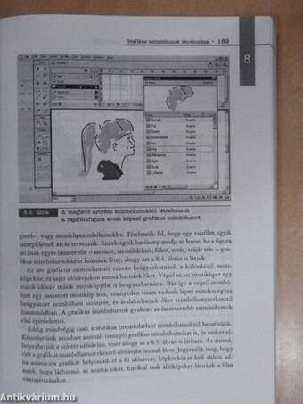 Macromedia FLASH 5