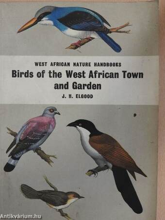 Birds of the West African Town and Garden