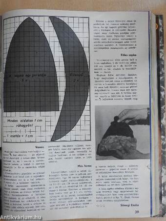 Ezermester 1980-1981. január-december