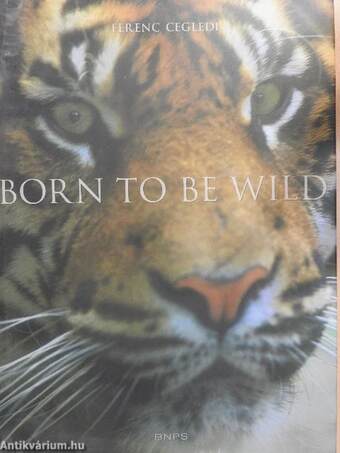 Born to be Wild