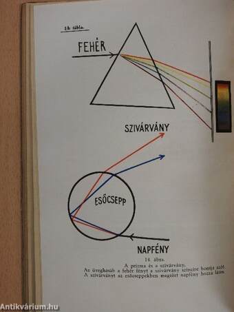 Természettudományi ismeretek IV. (töredék)