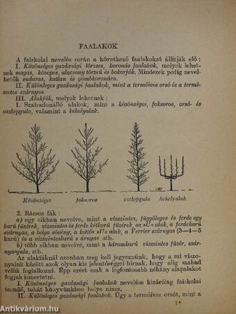 Általános gyümölcstermesztés és értékesítés II.