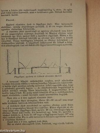 Általános gyümölcstermesztés és értékesítés II.