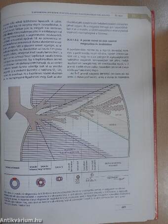 Munkaegészségtan