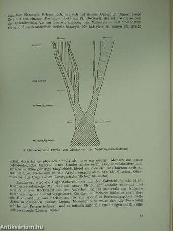 Acta Antiqua et Archaeologica Tomus VIII. (dedikált példány)