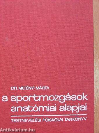 A sportmozgások anatómiai alapjai I.