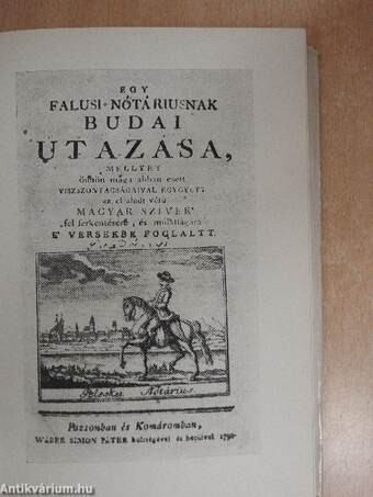 Egy falusi nótáriusnak budai utazása/Rontó Pál