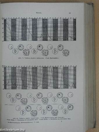 Lehrbuch der Differentialdiagnose innerer Krankheiten