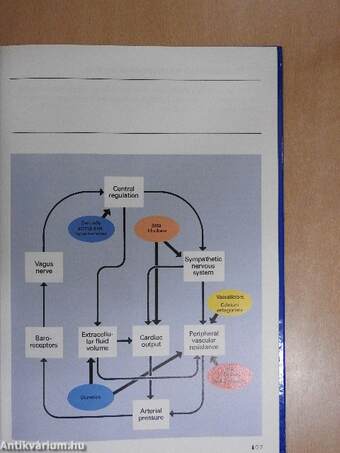 The Renin-Angiotensin System in Hypertension and Congestive Heart Failure