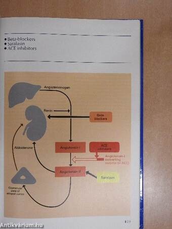 The Renin-Angiotensin System in Hypertension and Congestive Heart Failure