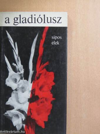 A gladiólusz