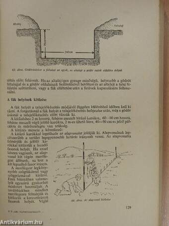 Gyümölcstermesztő és faiskolakezelő szakma