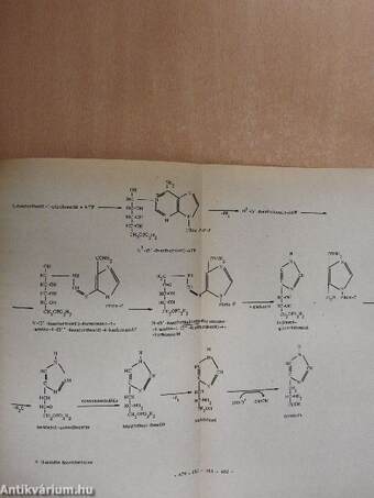 Biokémia I-II.