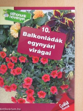 Balkonládák egynyári virágai