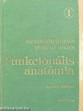 Funkcionális anatómia 1. (töredék)