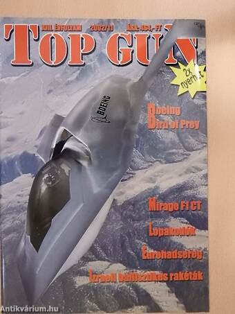 Top Gun 2002. november