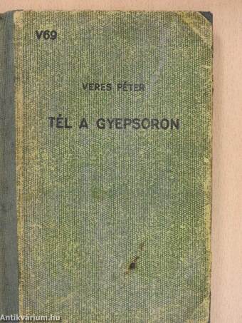 Tél a gyepsoron