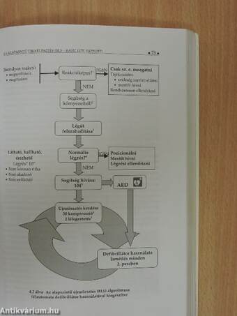 Elsősegélynyújtás